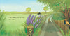 Wonky Donkey Stories - Hardcover Books