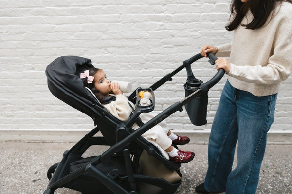 UPPAbaby Vista V2 vs Vista V3: A Comprehensive Comparison