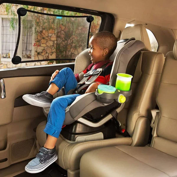 Baby & Toddler Road Trip Essentials