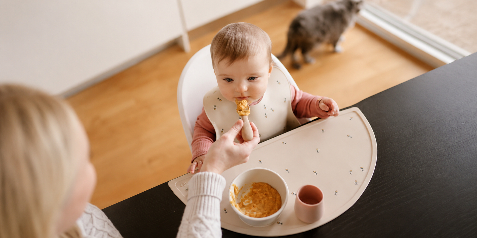 Starting Solids: A Parent's Guide to Traditional Weaning & Baby-Led Weaning