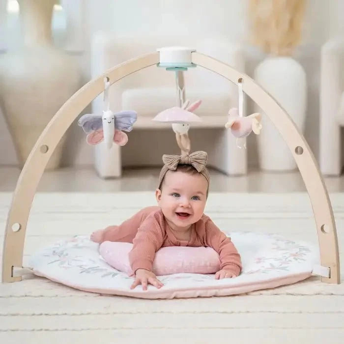 【未開封】aden+anais activity gym Aden + Anais - Play & Discover Activity Gym – Little Canadian
