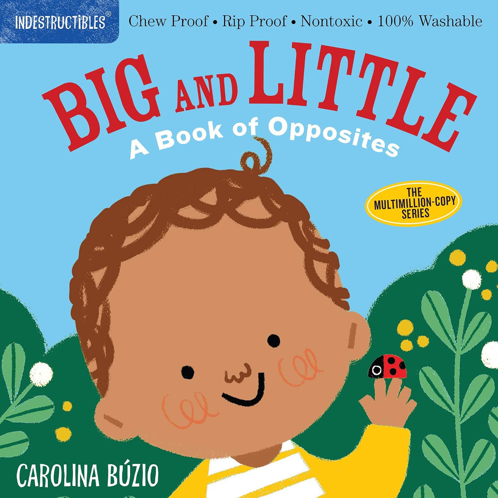 Indestructibles: Big & Little - Paperback For Babies