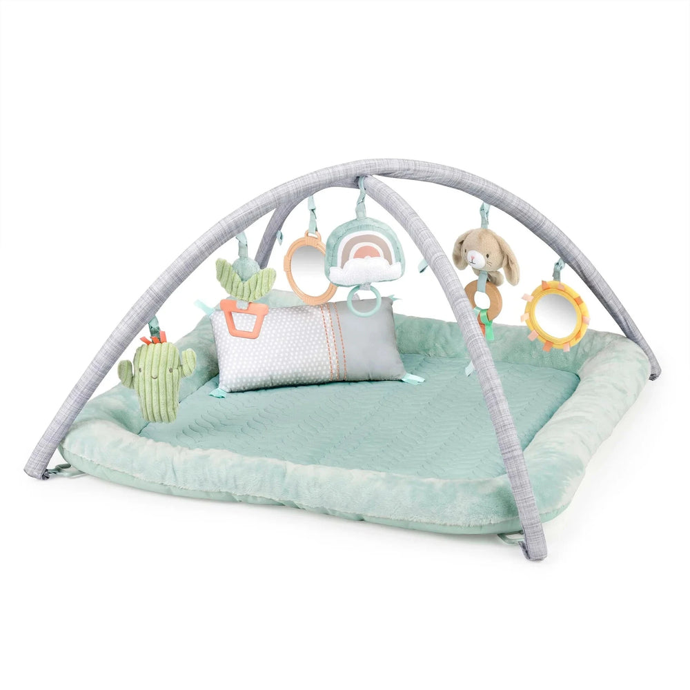 Ingenuity - Calm Springs Plush Activity Gym