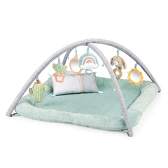Ingenuity - Calm Springs Plush Activity Gym