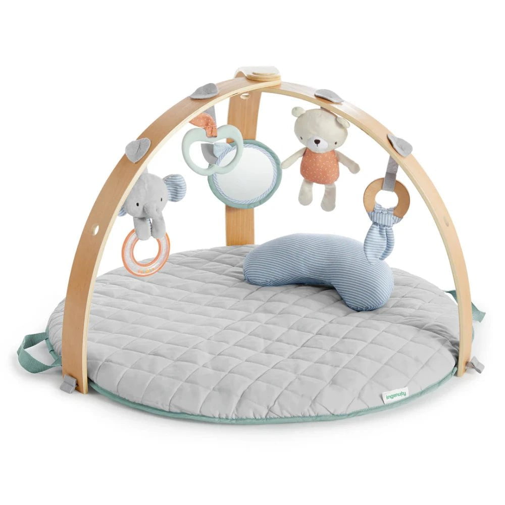 Ingenuity - Cozy Spot Reversible Duvet Gym - Loamy