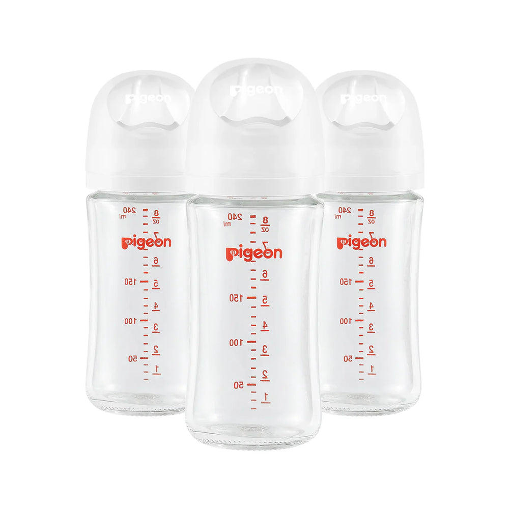 Pigeon - Glass Bottle 8oz (3M+) - 3 Pack