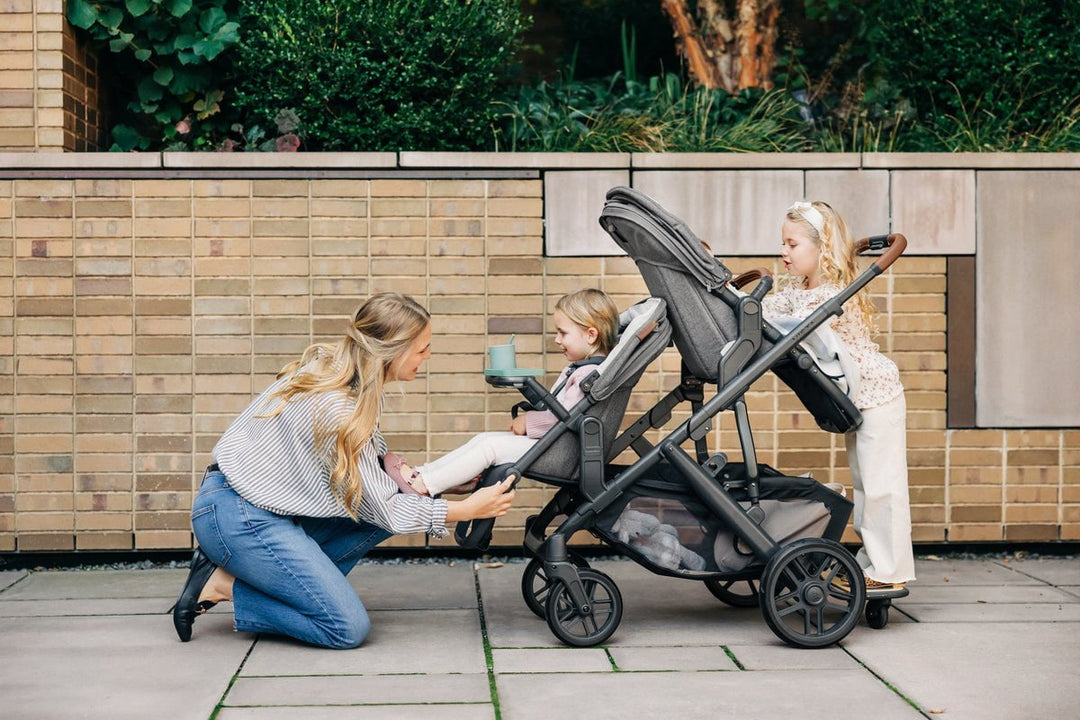 Rumbleseat Uppababy Vista With Two Seats UPPAbaby Vista Rumble