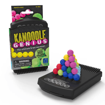 Educational Insights - Kanoodle Genius