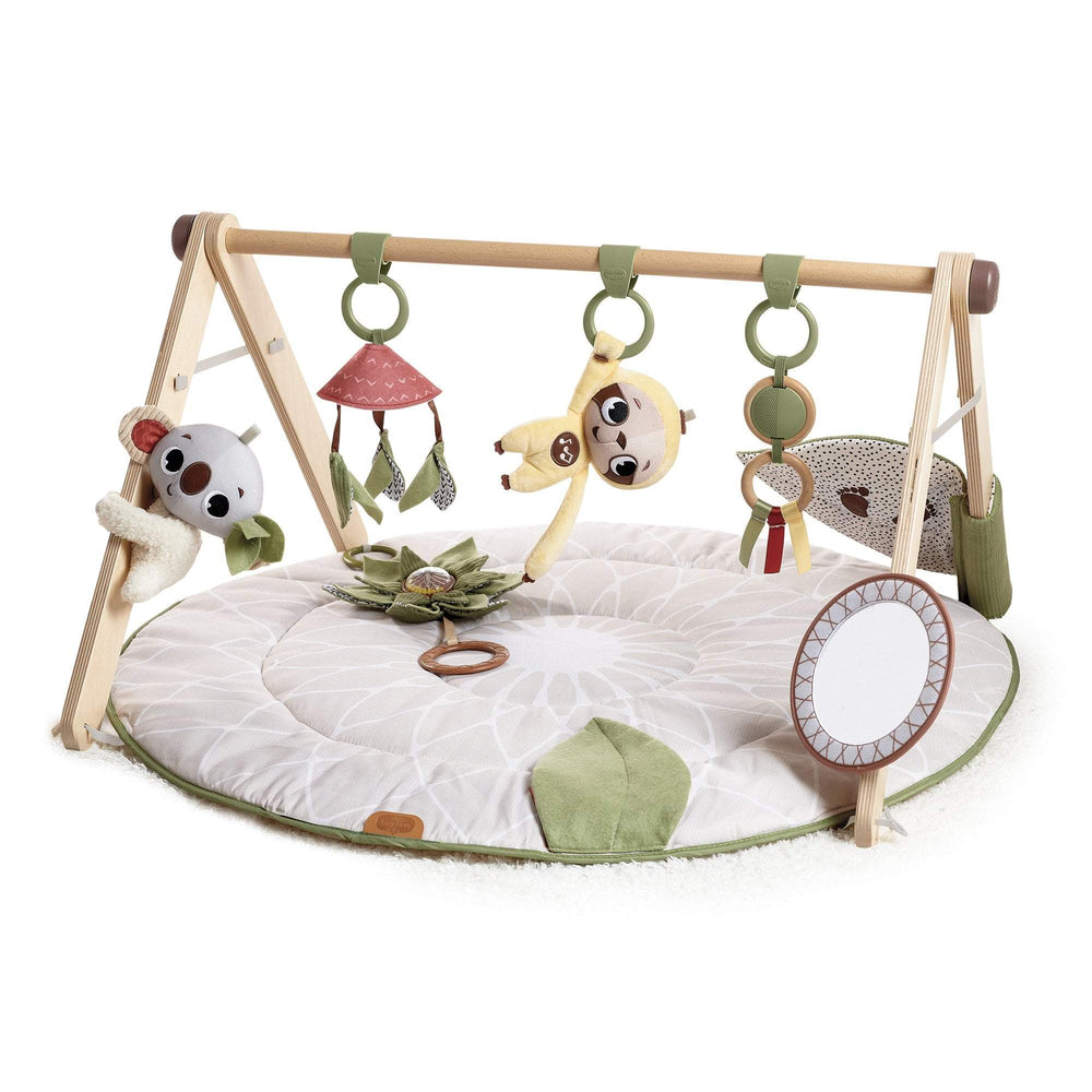 Tiny Love - Boho Chic Luxe Developmental Gymini
